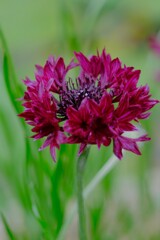 散歩の途中で。Ⅳ