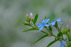 散歩の途中で。７