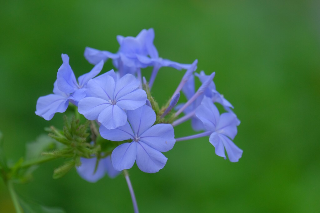 散歩の途中で。