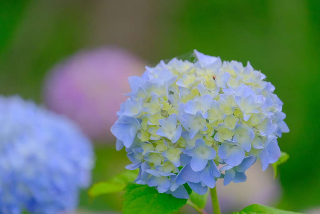 (10)散歩の途中で。2