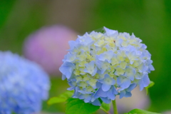 (10)散歩の途中で。2