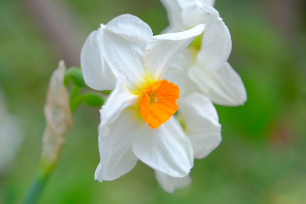 散歩の途中で。6