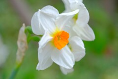 散歩の途中で。6