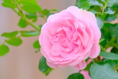 散歩の途中で。1