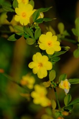 散歩の途中で。Ⅴ