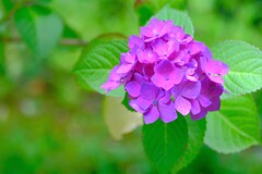 散歩の途中で。Ⅷ