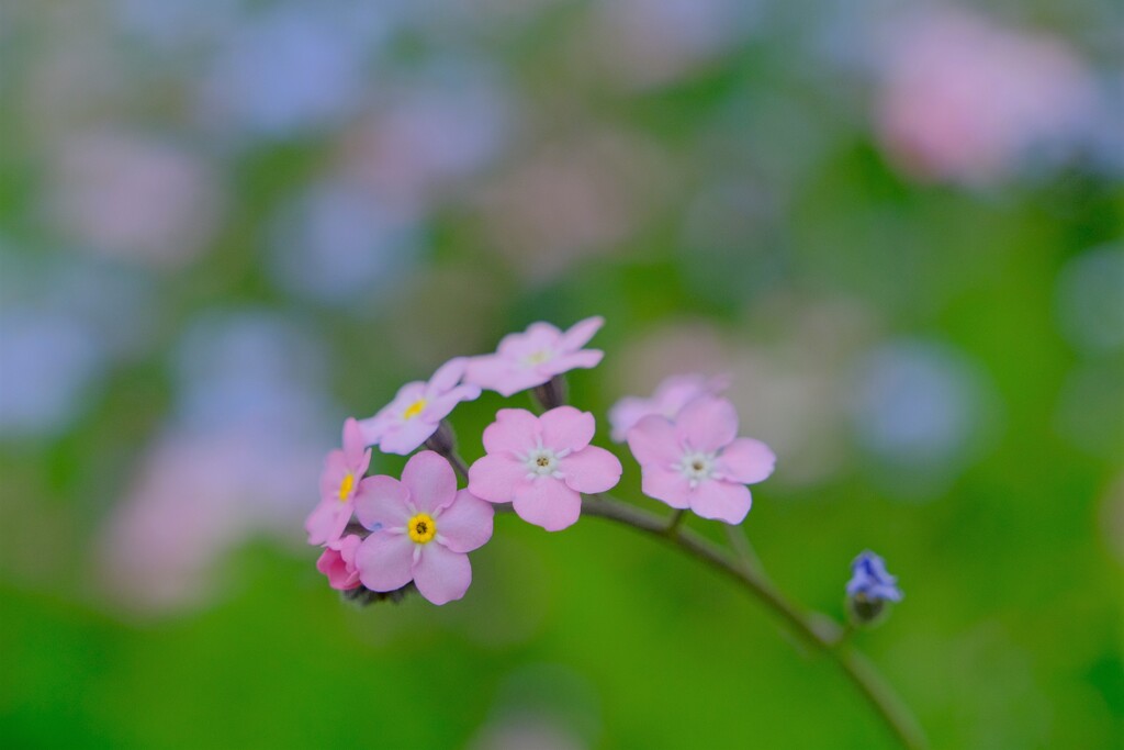 散歩の途中で。Ⅰ