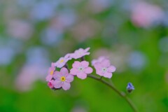 散歩の途中で。Ⅰ