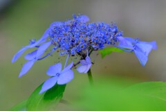 散歩の途中で。4