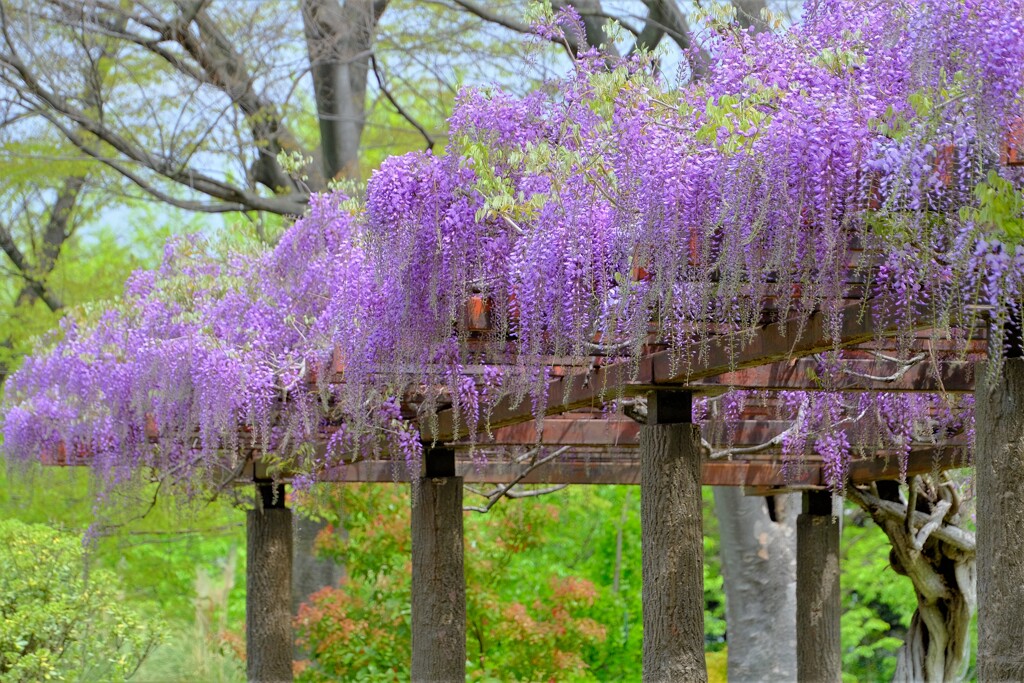 散歩の途中で。2