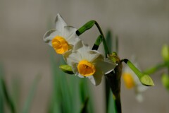 散歩の途中で、Ⅴ