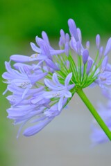 散歩の途中で。