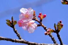 散歩の途中で。１