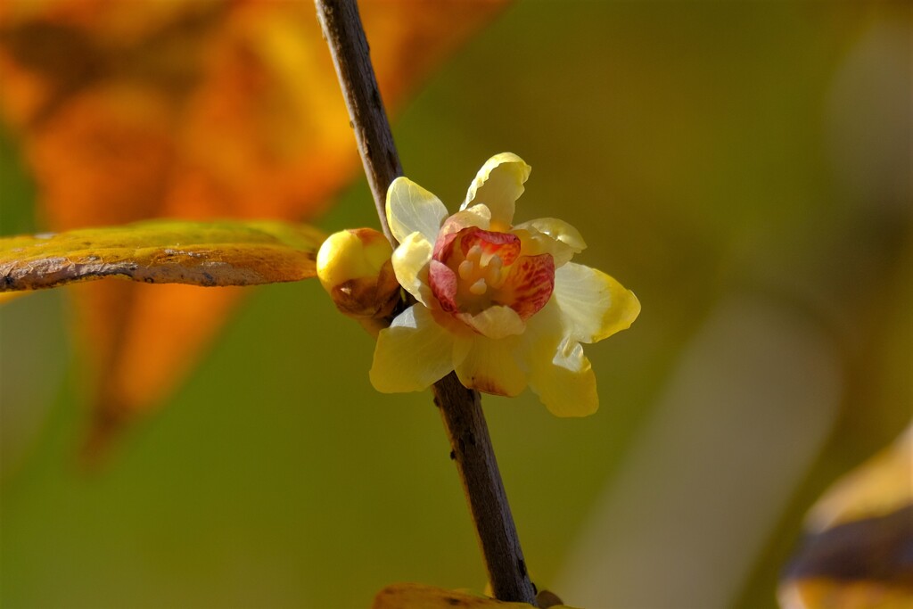 散歩の途中で、Ⅲ