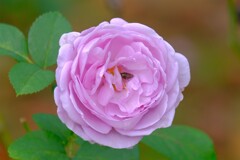 散歩の途中で、Ⅱ