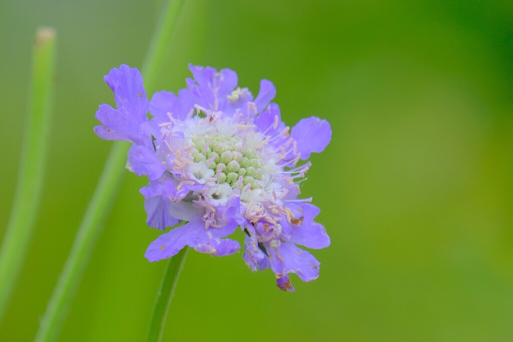 散歩の途中で。