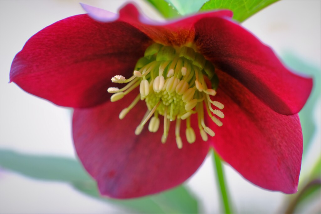 散歩の途中で。⑥