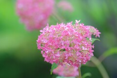 散歩の途中で。