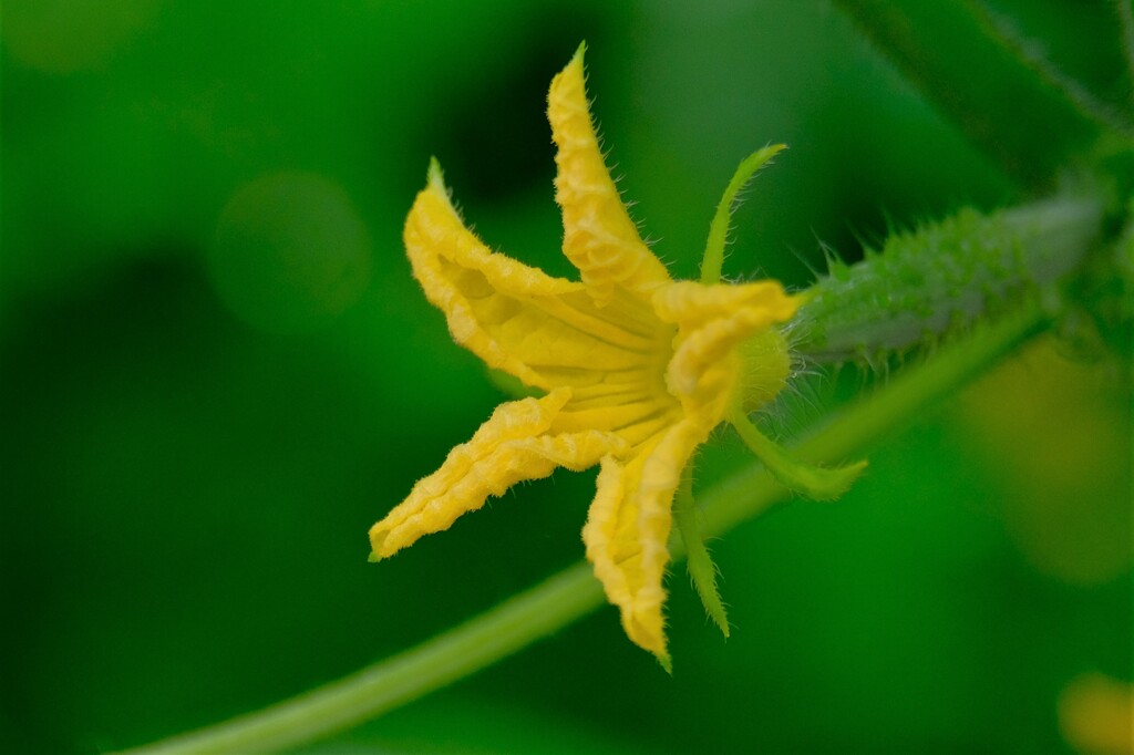 散歩の途中で。④