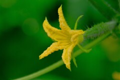 散歩の途中で。④