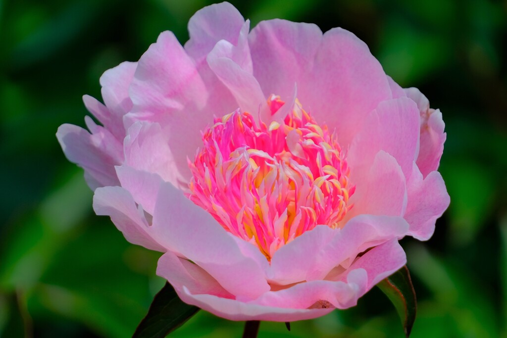 散歩の途中で。9