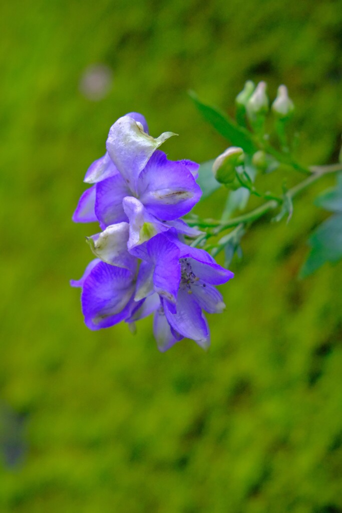 散歩の途中で。Ⅰ