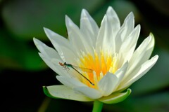 散歩の途中で。2