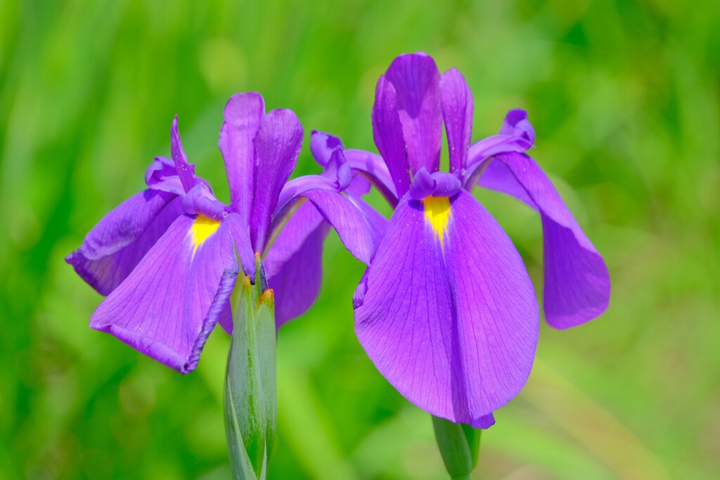 散歩の途中で。2