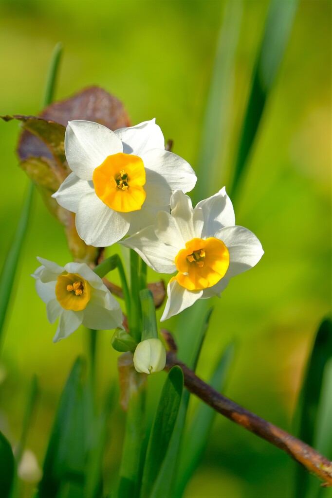 散歩の途中で、2