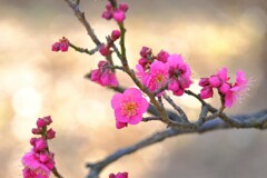 散歩の途中で。3