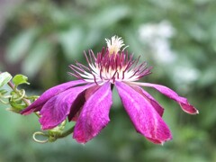 散歩の途中で。Ⅵ