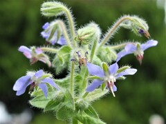 散歩の途中で。Ⅲ