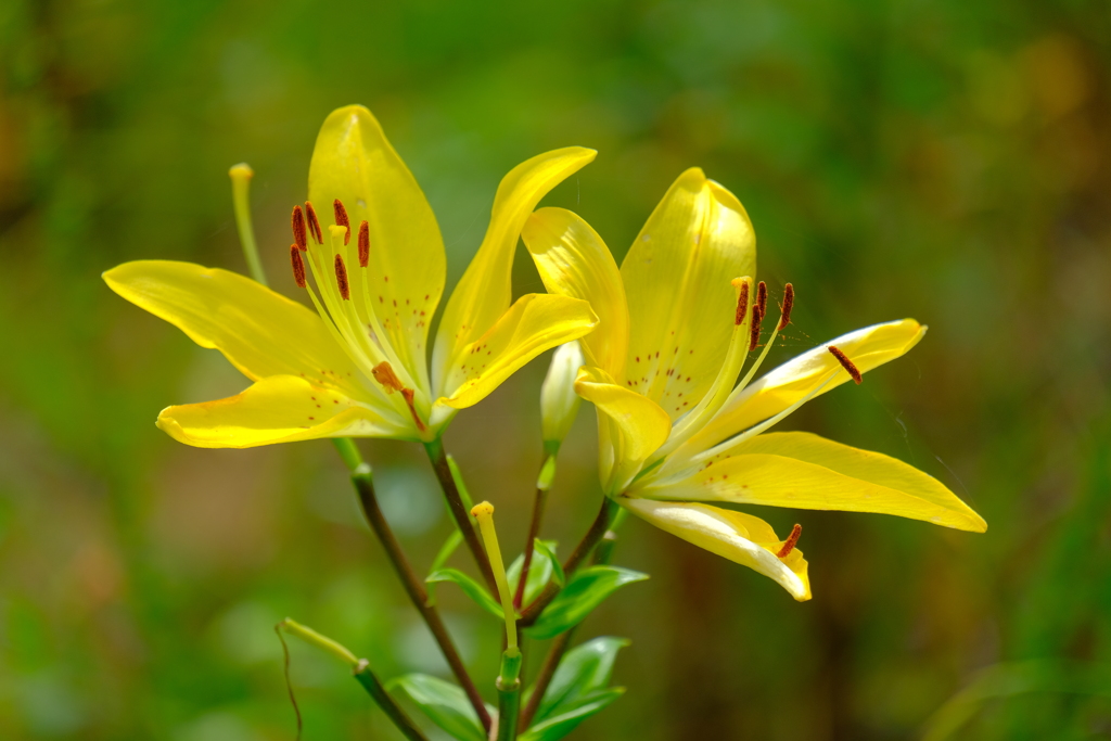 散歩の途中で。４