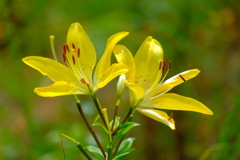 散歩の途中で。４