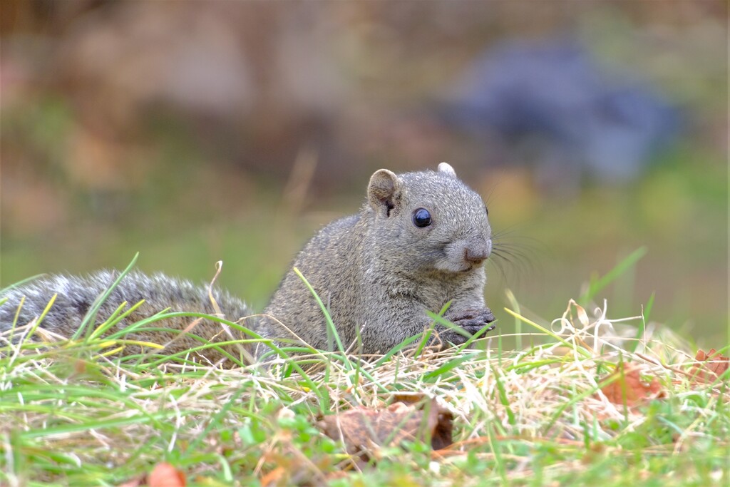 散歩の途中で。Ⅳ
