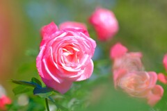 散歩の途中で。Ⅰ