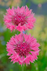 散歩の途中で。Ⅲ