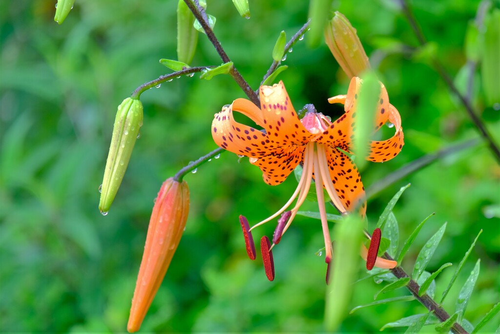 散歩の途中で。５