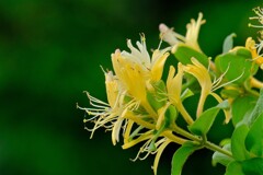 （２）散歩の途中で。-６