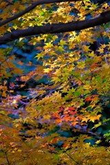 散歩の途中で。①