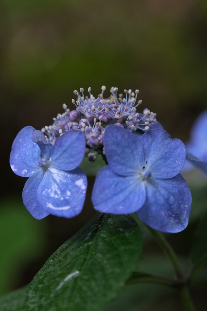 散歩の途中で。4