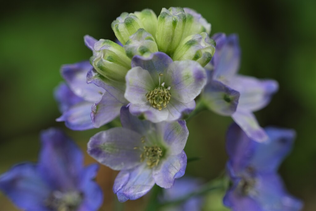 散歩の途中で。2