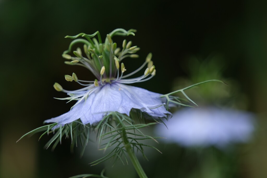 散歩の途中で。1