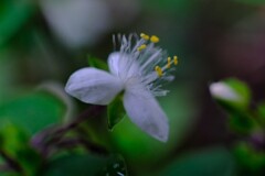 散歩の途中で。Ⅰ