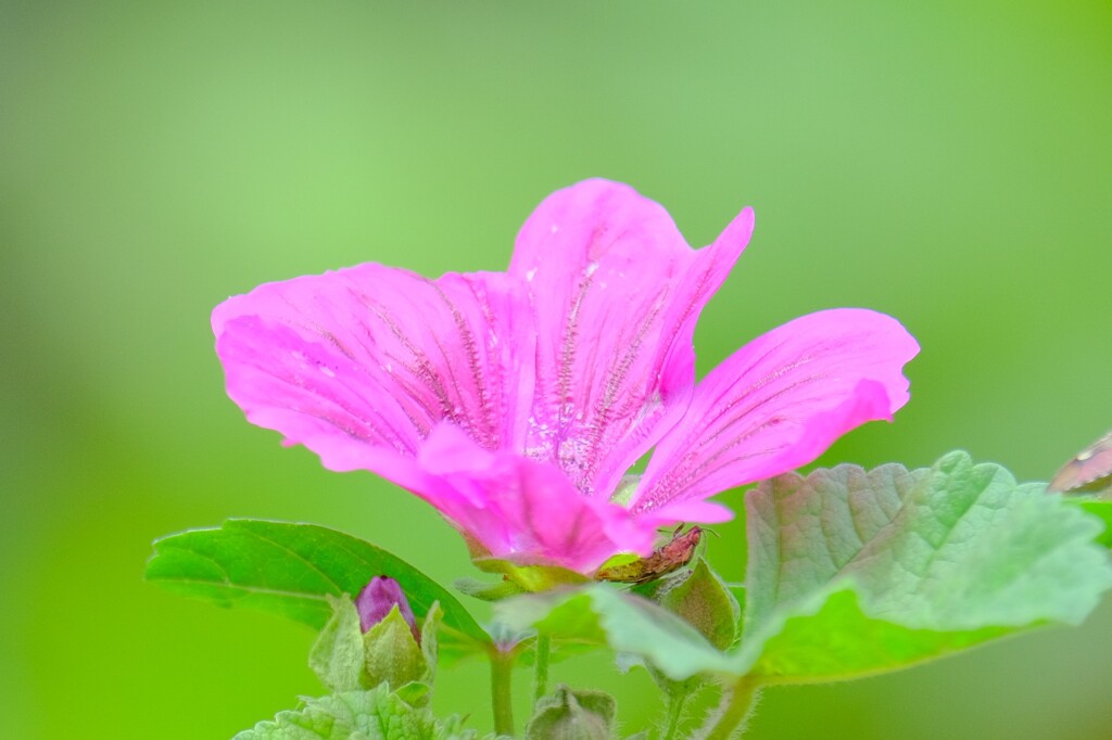 散歩の途中で。