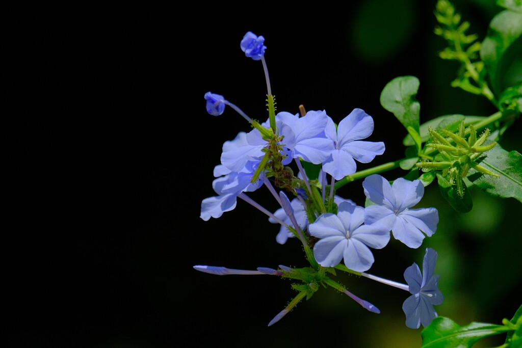 散歩の途中で。
