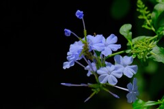 散歩の途中で。