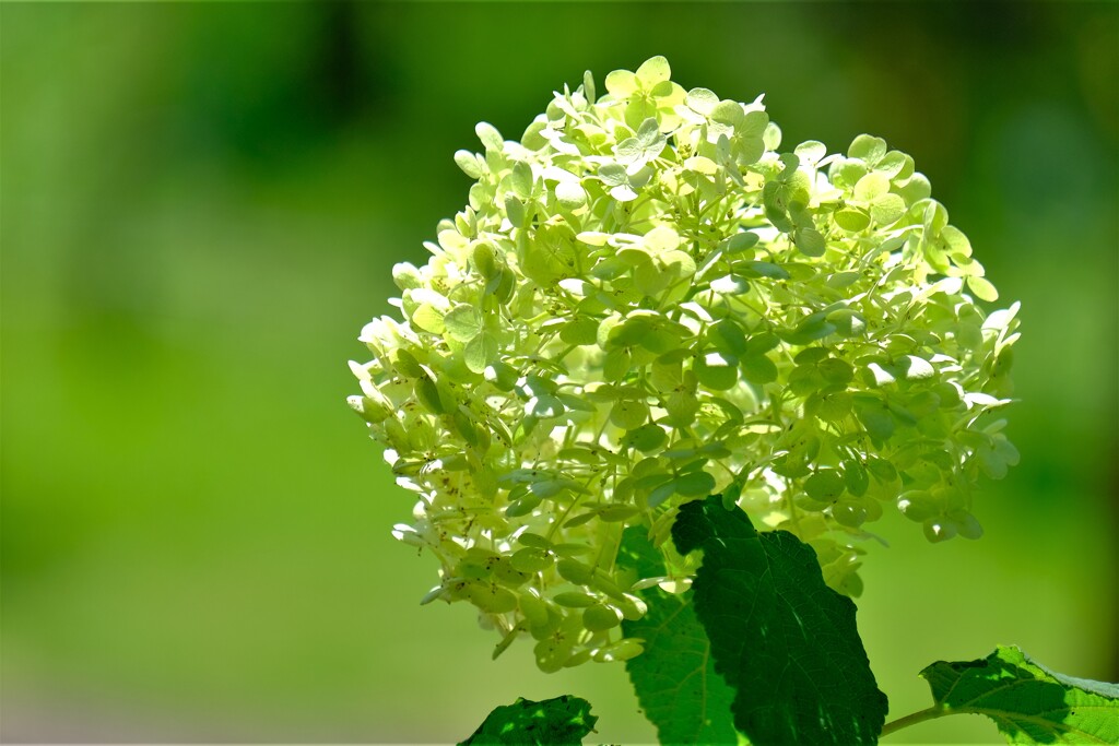 散歩の途中で。２