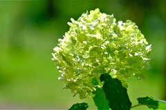 散歩の途中で。２