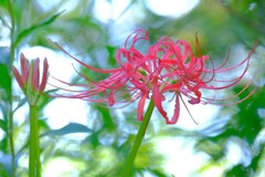 散歩の途中で。Ⅰ